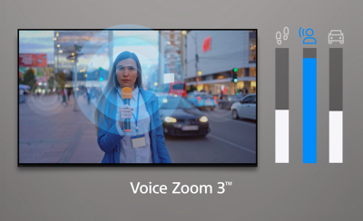 BRAVIA screen next to volume bars indicating the three sources of sound in the video, with the subject's voice as the loudest